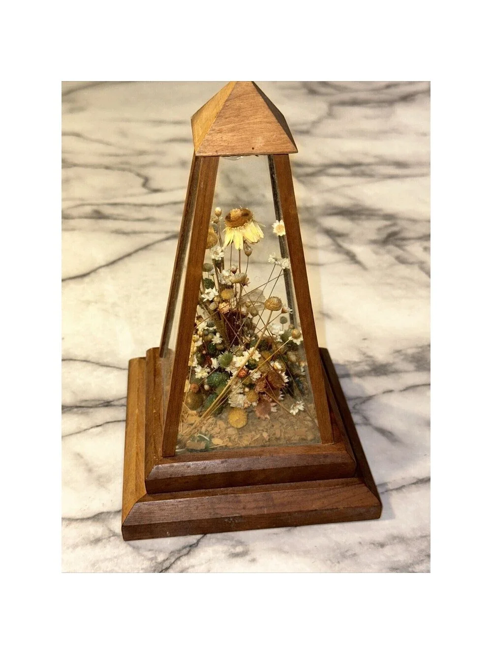 Vintage Dunston Glass Enclosed Dried Butterfly Flower Arrangement Brazil 9x 5